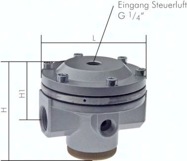 DRI55 STANDARD Druckregler (Volumen-booster) G 1, Baureihe 5