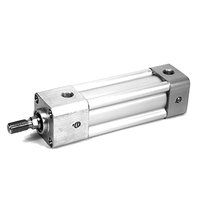 Aventics R432020422 Profilzylinder NFPA, TaskMaster®, Serie TM-1