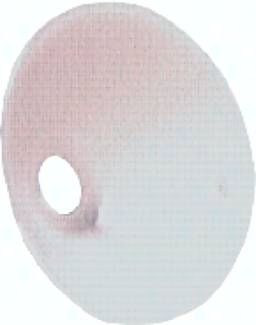 Schutzschild für Kurzdüse für Blaspistole, M 12 x 1,25 (AG)