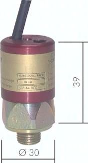 ATEX-Druckschalter 1 - 10 bar (Wechsler), G 1/4" (AG)