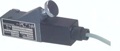 ATEX-Druckschalter 20 - 100 bar (Wechsler), G 1/4" (IG)